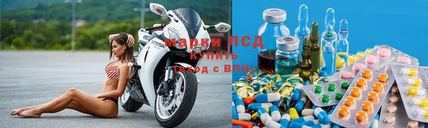спиды Гусев