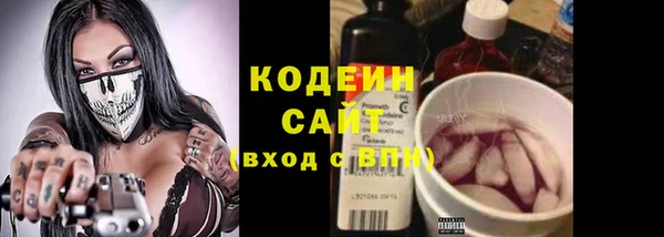 сатива Горняк