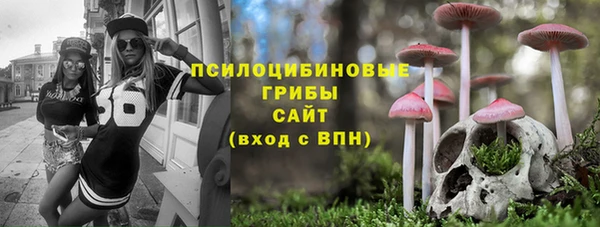 спиды Гусев