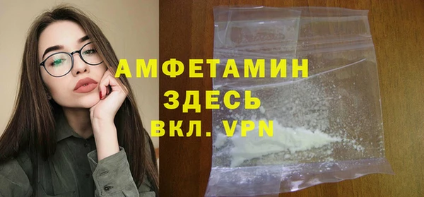 сатива Горняк