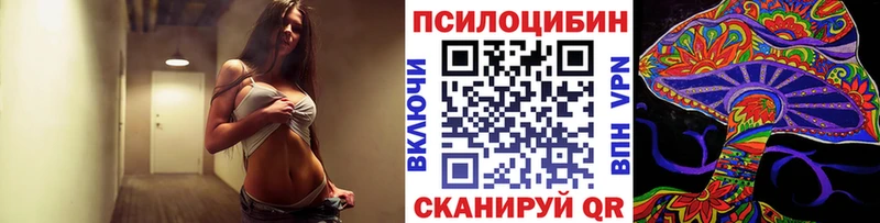 гидра ССЫЛКА  цены   Черногорск  Галлюциногенные грибы Psilocybe 
